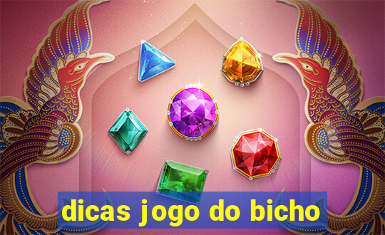 dicas jogo do bicho